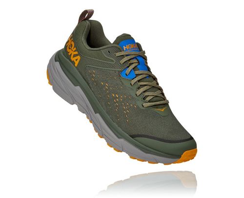 Hoka One One Herre Challenger Atr 6 Trail Løpesko Thyme/Sharkskin Norge-61YPS